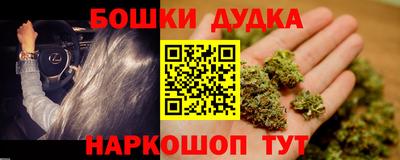 шишки Будённовск