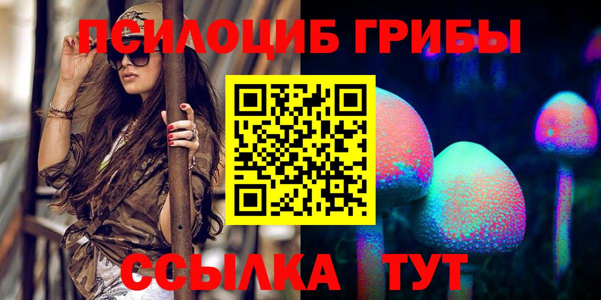 Глазов  Галлюциногенные грибы Psilocybine cubensis  Вход с VPN 